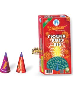 Flower Pots Big