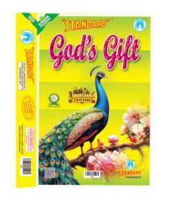 God's Gift