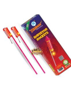Surveyor Rockets